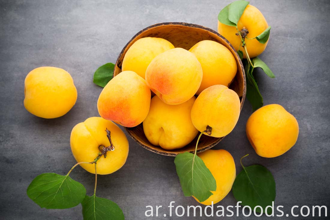 Shelf Stable Canned Yellow Peaches